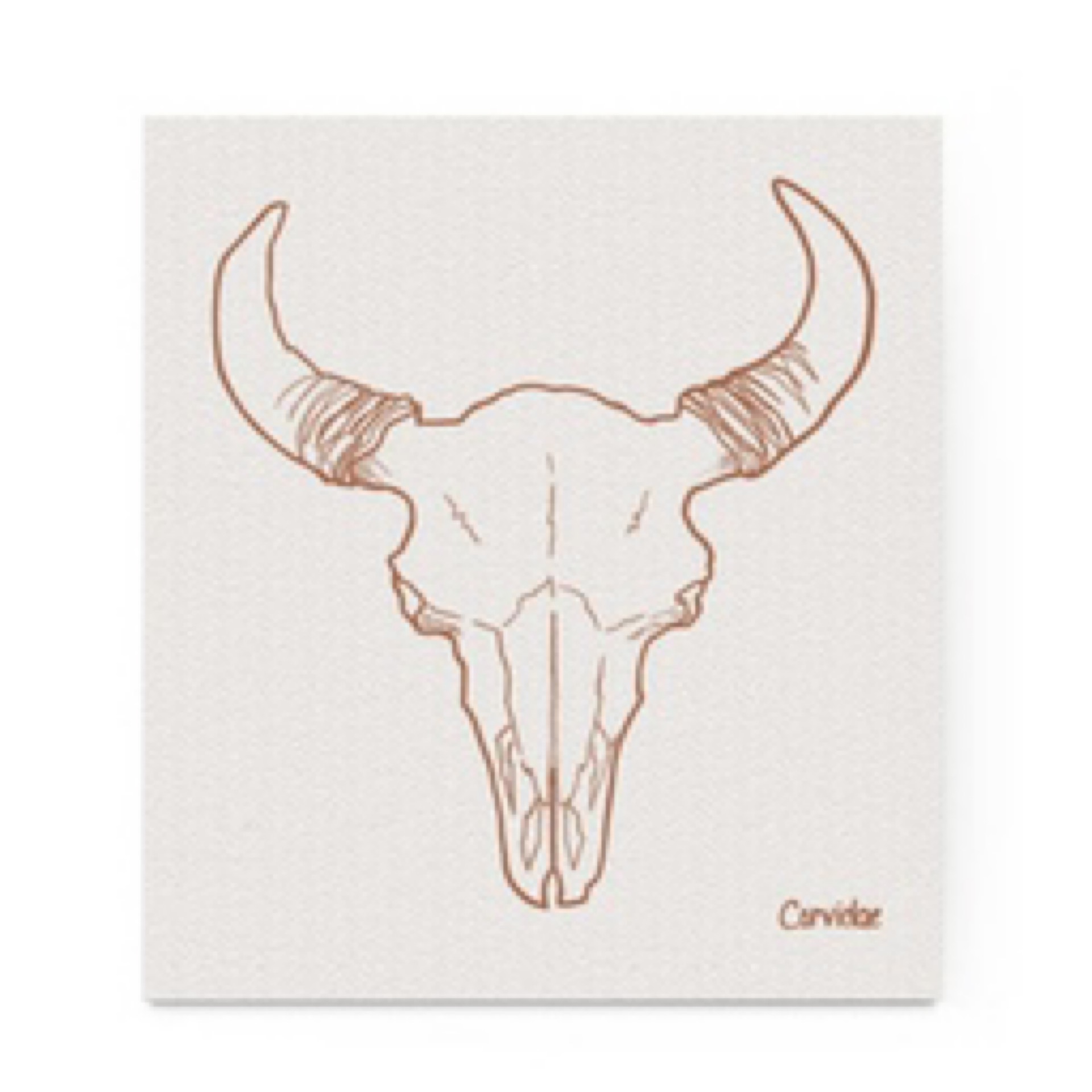 corvidae bison skull swedish sponge cloth