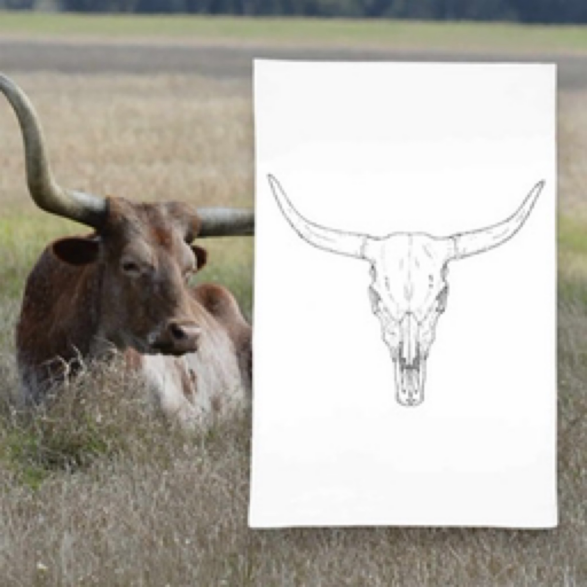 longhorn cattle cow skull flour sack towel