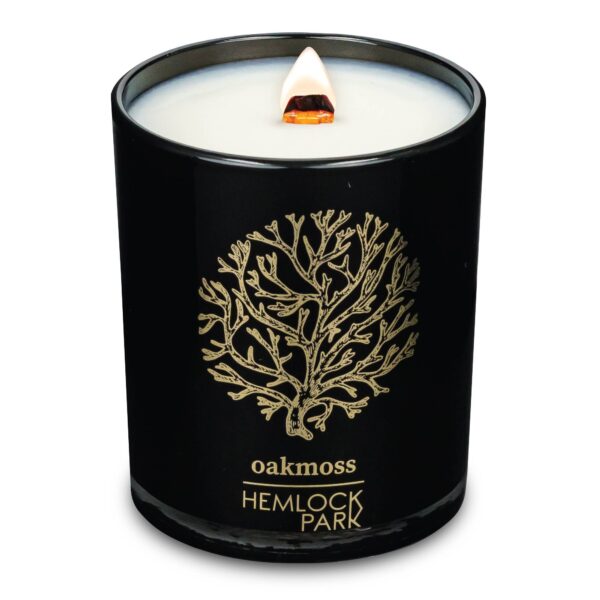 hemlock park 7.2oz black & gold candle: oakmoss