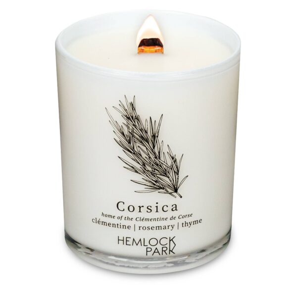 hemlock park 7.2oz passport candle: aspen | blue spruce with juniper and birch