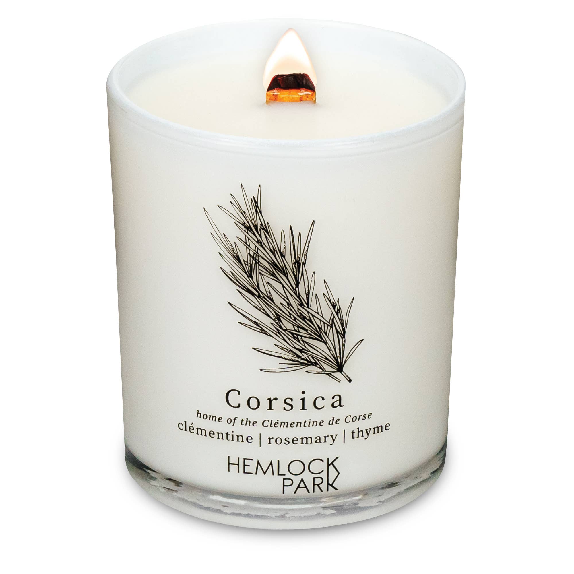 hemlock park 7.2oz passport candle: aspen | blue spruce with juniper and birch