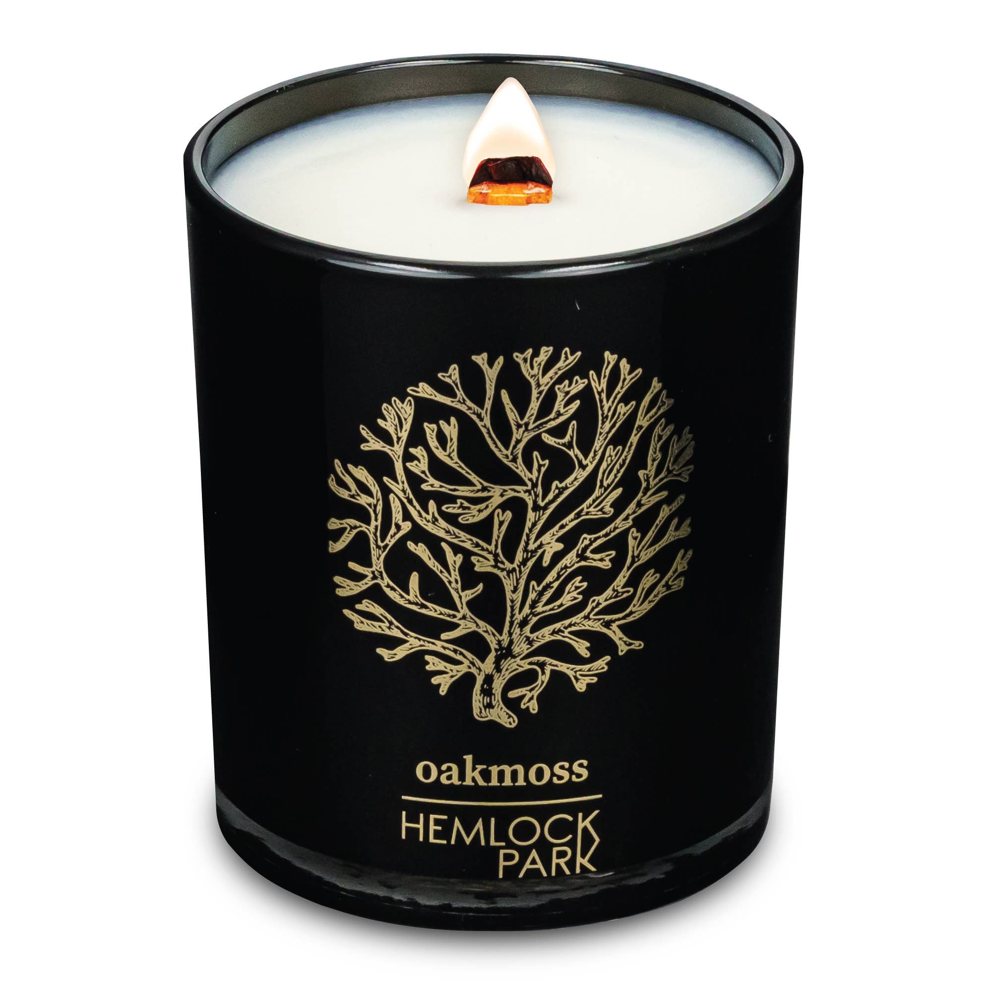 hemlock park 7.2oz black & gold candle: oakmoss