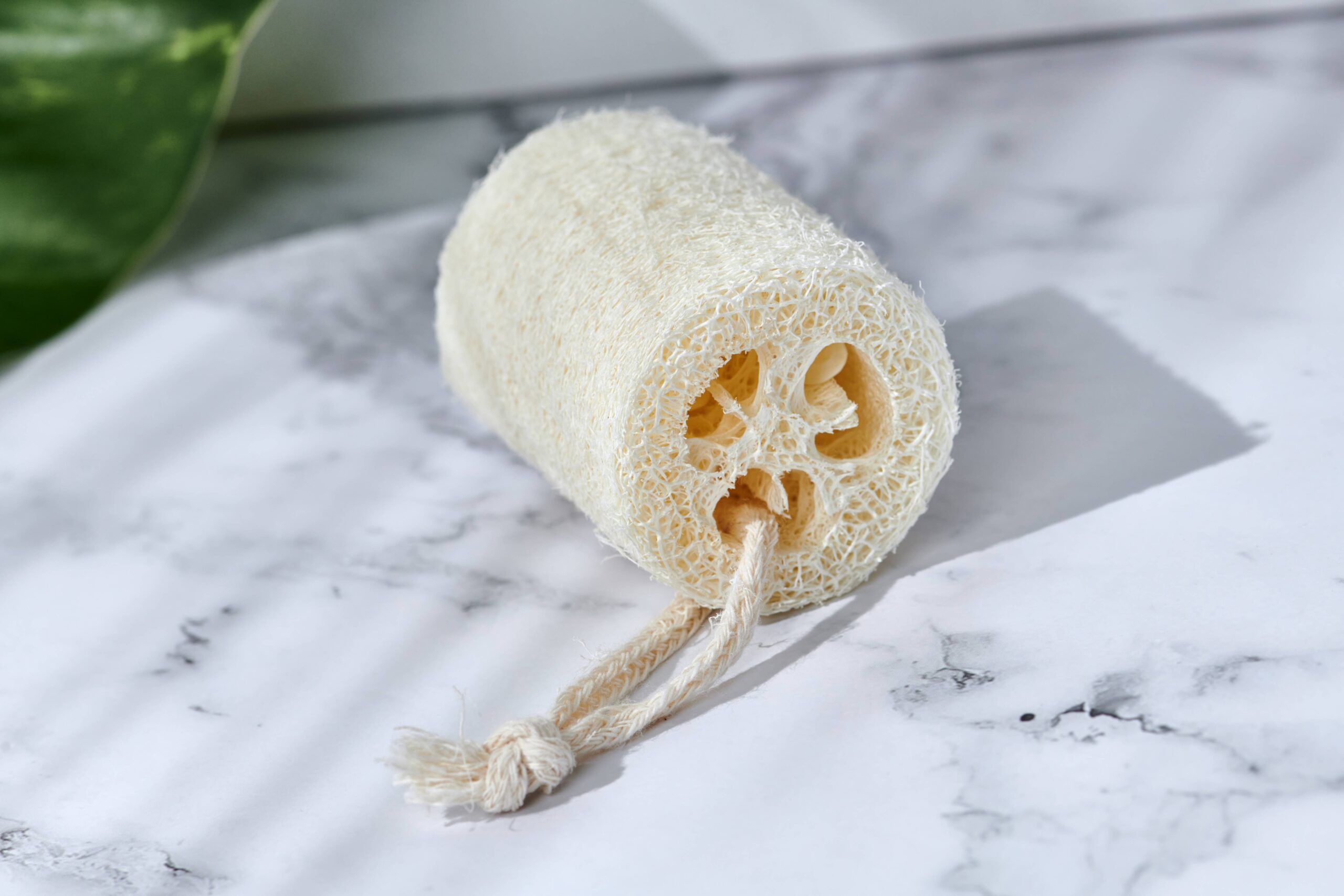 natural loofah exfoliating slices (plastic free, unpackaged)