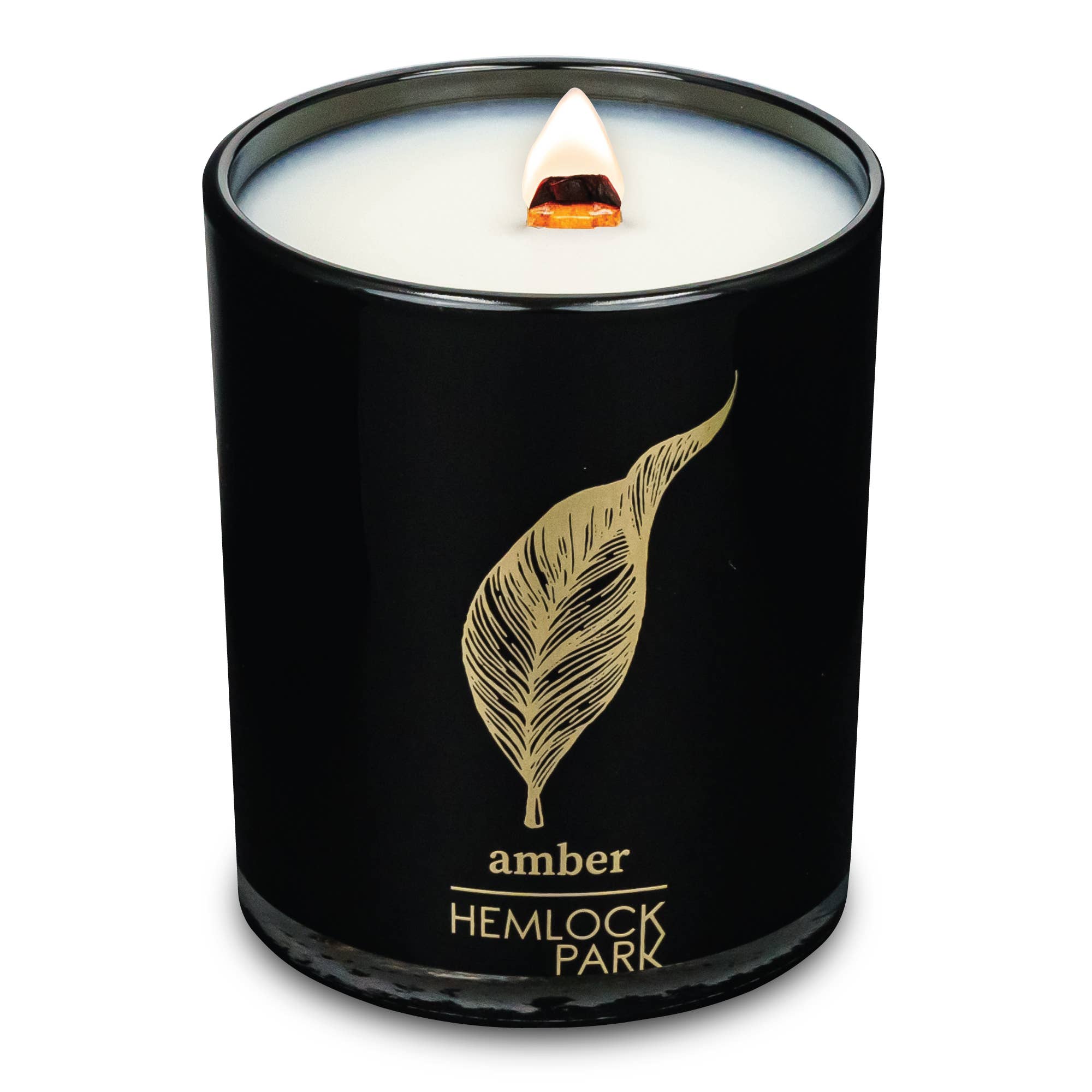 hemlock park 7.2oz black & gold candle: cactus flower