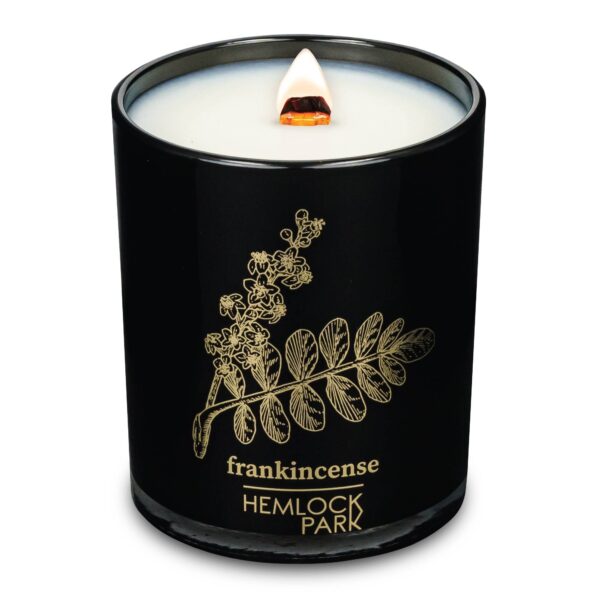hemlock park 7.2oz black & gold candle: frankincense