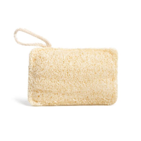 loofah exfoliating pad