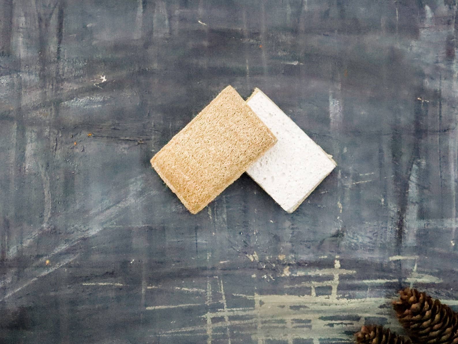 eco sponge: single